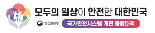 국가안전시스템 개편 종합대책