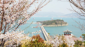 오동도