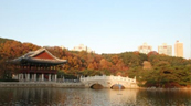 중앙공원