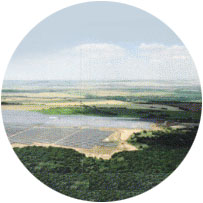 ASM 20.14㎿ '11.12 상업운전