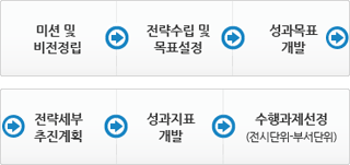 전략 및 실행체제