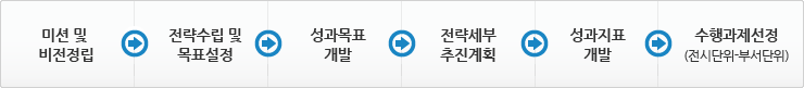 전략 및 실행체제